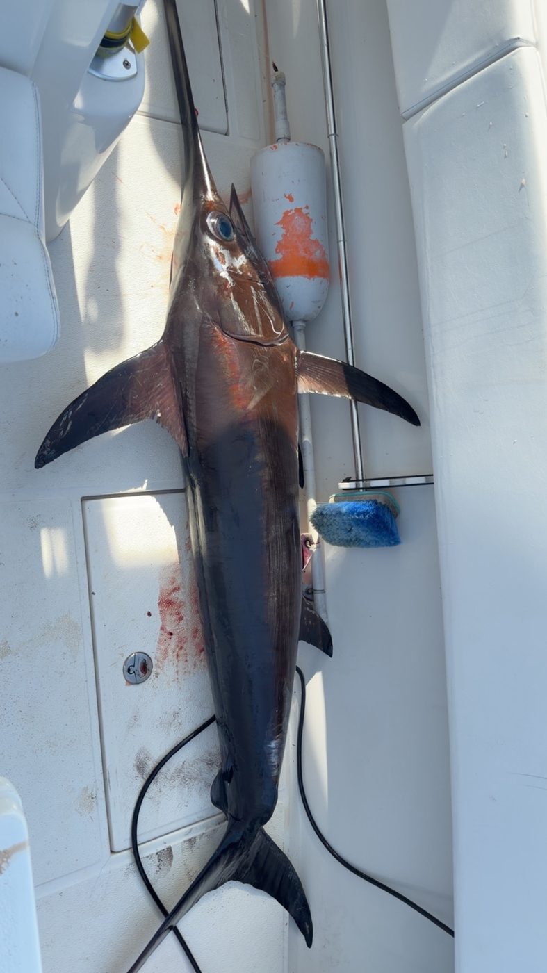 Large grouper catch laid on the deck next to a pair of fishing boots